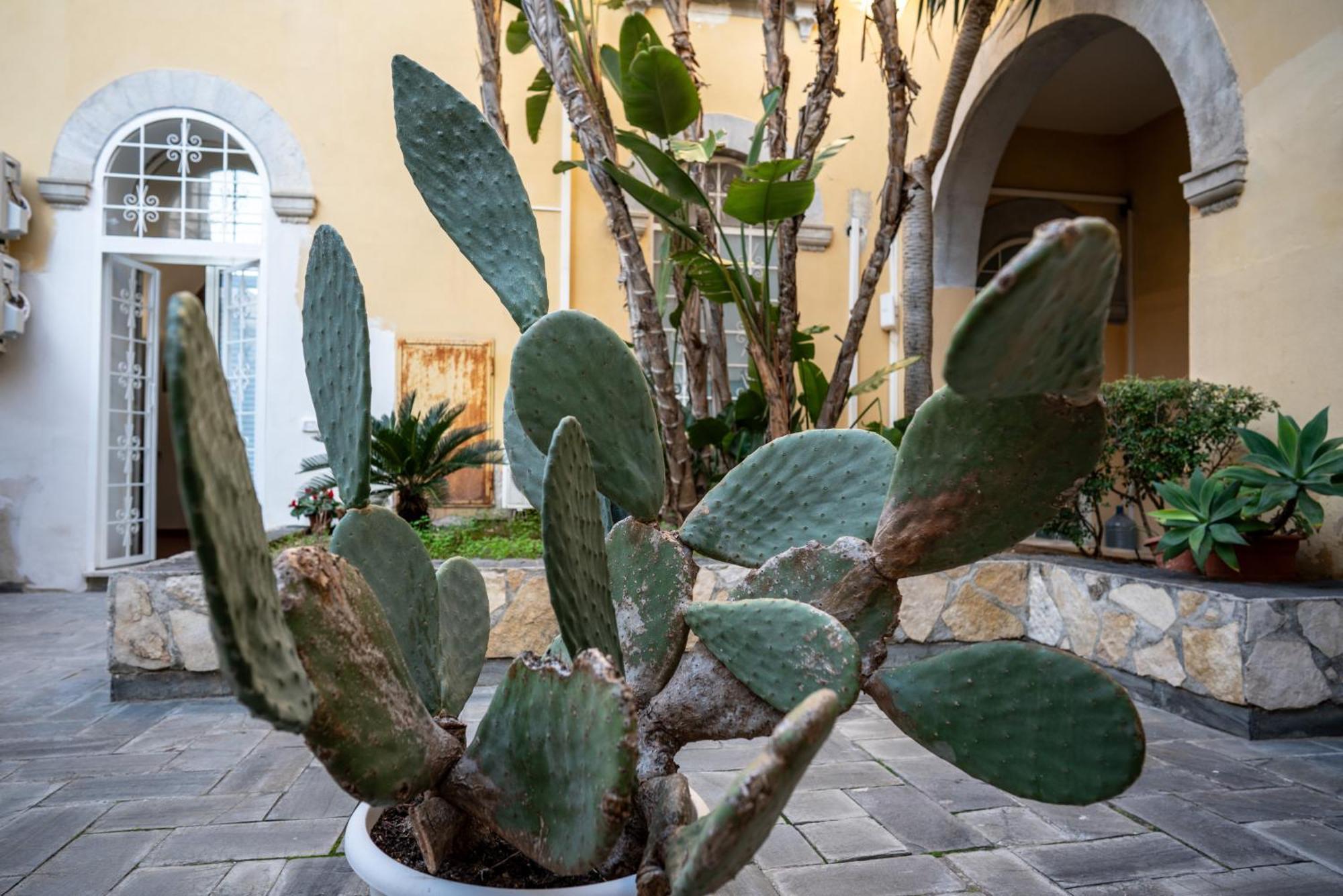 Вилла Casa Orchidea D'Oro Сиракузы Экстерьер фото